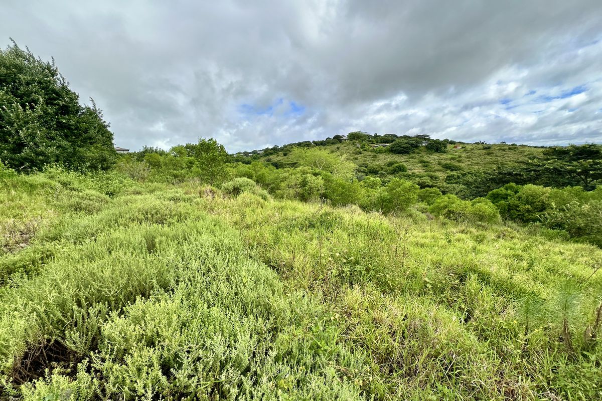 A Canvas of Natural Beauty Awaits! - Photo 3