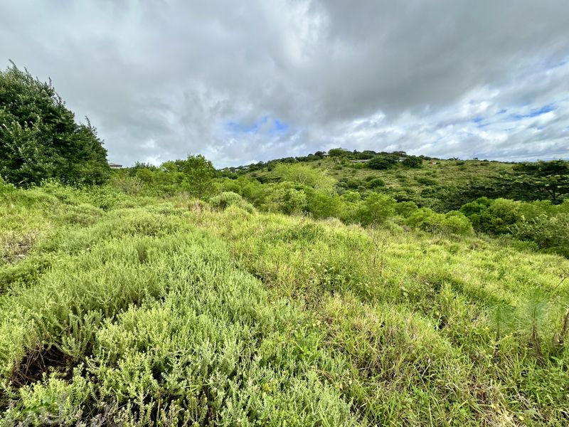A Canvas of Natural Beauty Awaits! - Photo 3