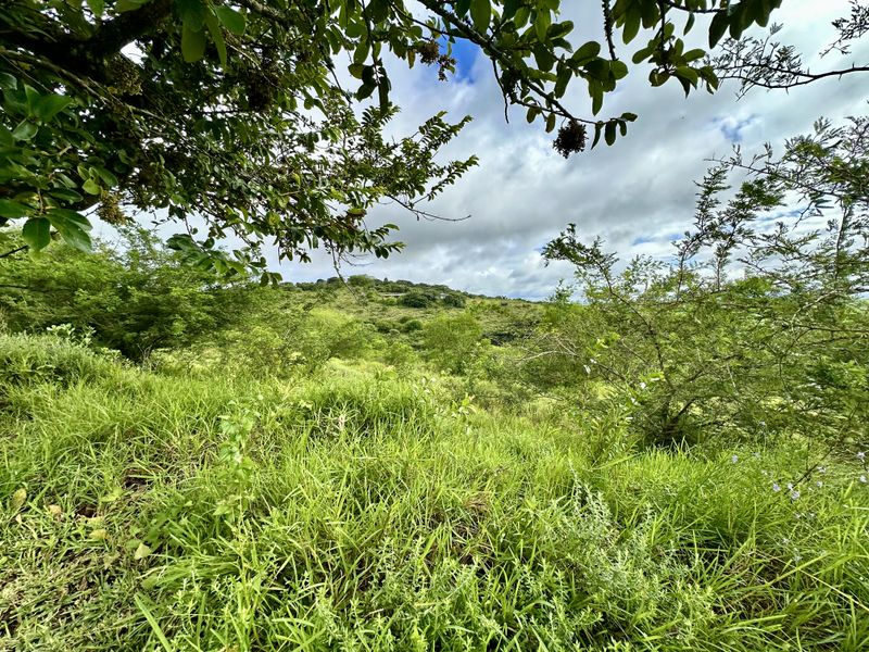A Canvas of Natural Beauty Awaits! - Photo 7
