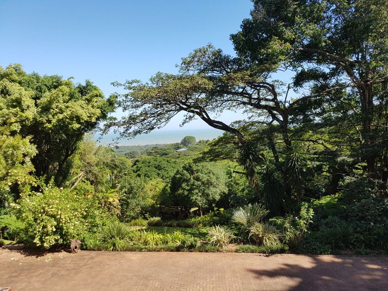 A scenic elevated view overlooking lush green canopy and distant ocean horizon from a paved outdoor terrace.