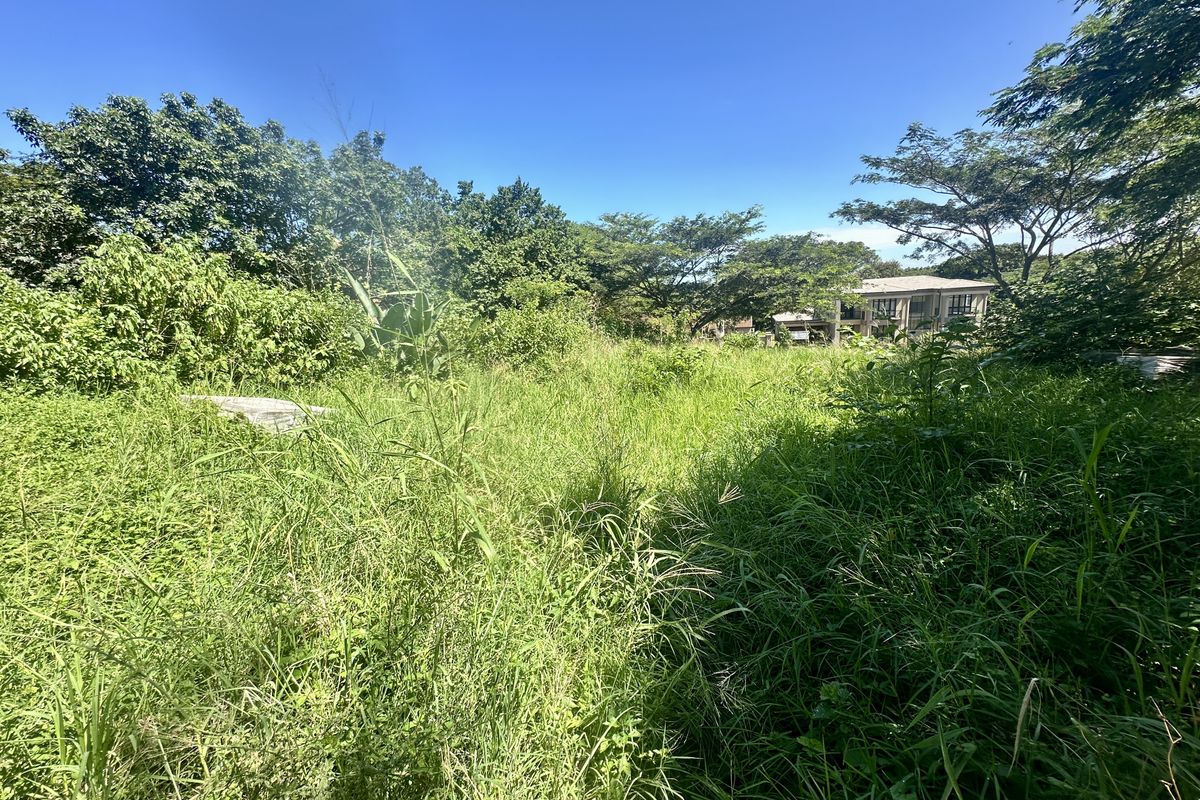 Prime Vacant Stand with Approved Plans and Sea Views - Photo 4