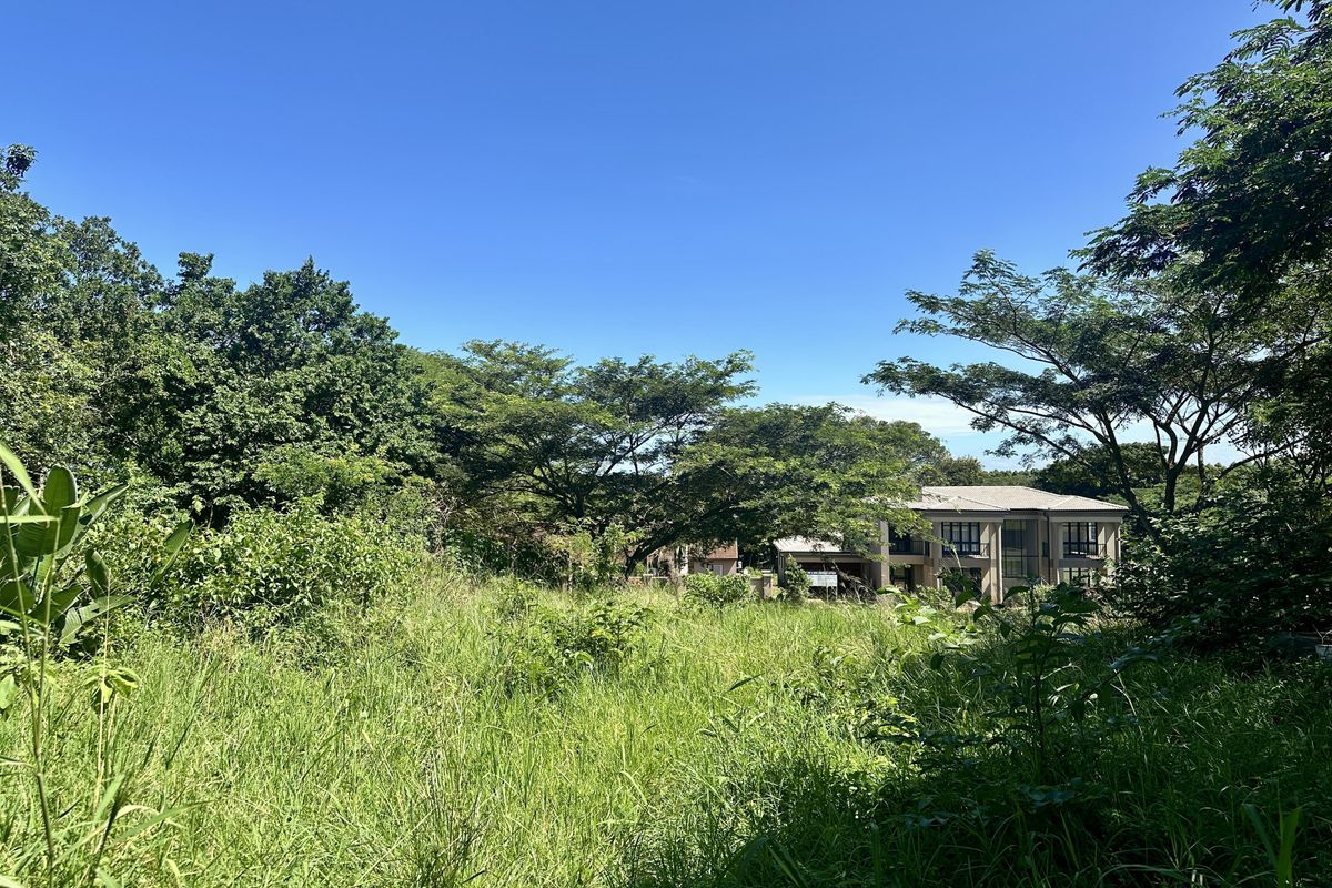 A view of a vacant residential plot featuring overgrown grass and mature trees, with neighboring residential properties visible in the background.