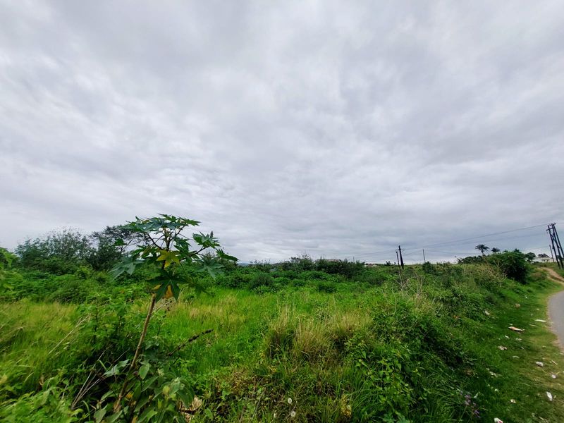 A view of an undeveloped residential plot featuring natural grassland and existing utility infrastructure.