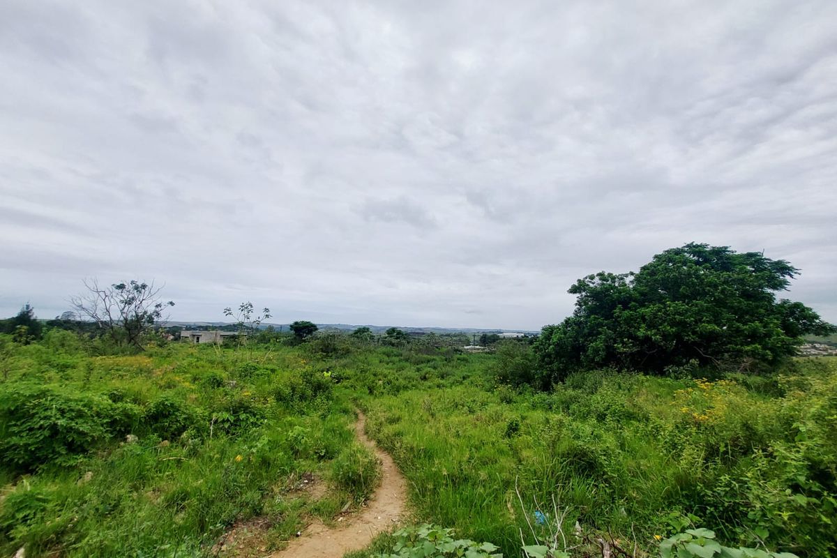 A view of an undeveloped residential plot featuring natural vegetation and a dirt path, suitable for future construction.