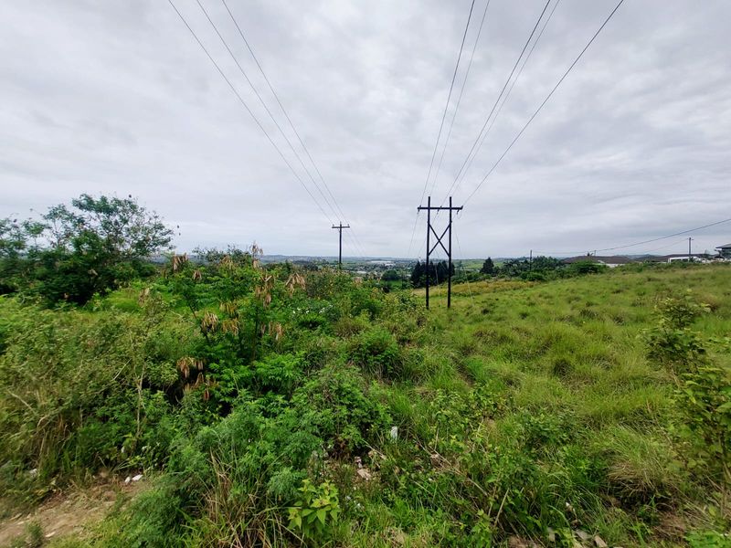 A view of the vacant residential land featuring natural vegetation and overhead utility infrastructure.