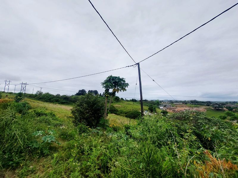 A view of a vacant residential plot featuring natural vegetation, a utility pole, and overhead power lines under an overcast sky.