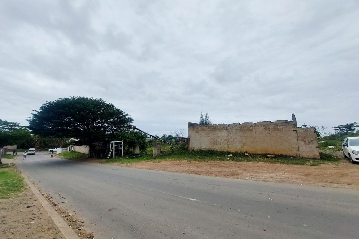 Street view of a vacant residential plot featuring a mature tree and a partially dilapidated boundary wall along the roadside.