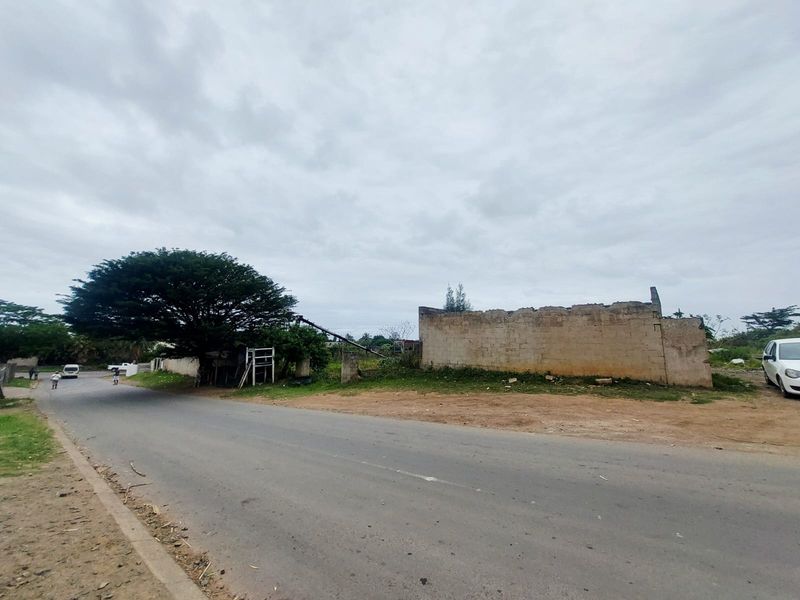 Street view of a vacant residential plot featuring a mature tree and a partially dilapidated boundary wall along the roadside.