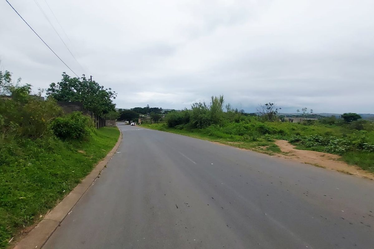 A view of the paved street providing access to the vacant residential land, featuring established roadside vegetation and overhead utility lines.