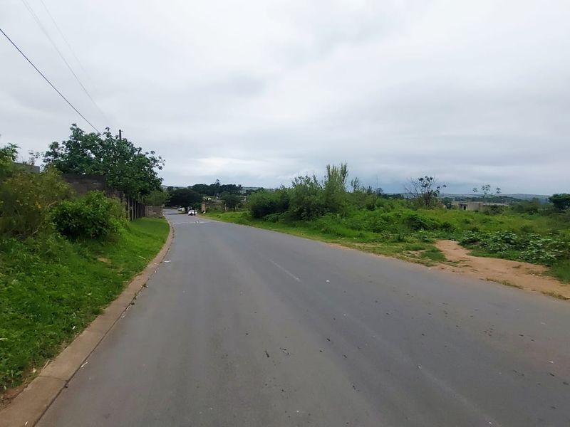 A view of the paved street providing access to the vacant residential land, featuring established roadside vegetation and overhead utility lines.
