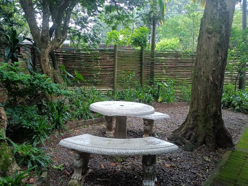 A lush, shaded garden area featuring mature trees, established greenery, and a rustic woven timber fence boundary.