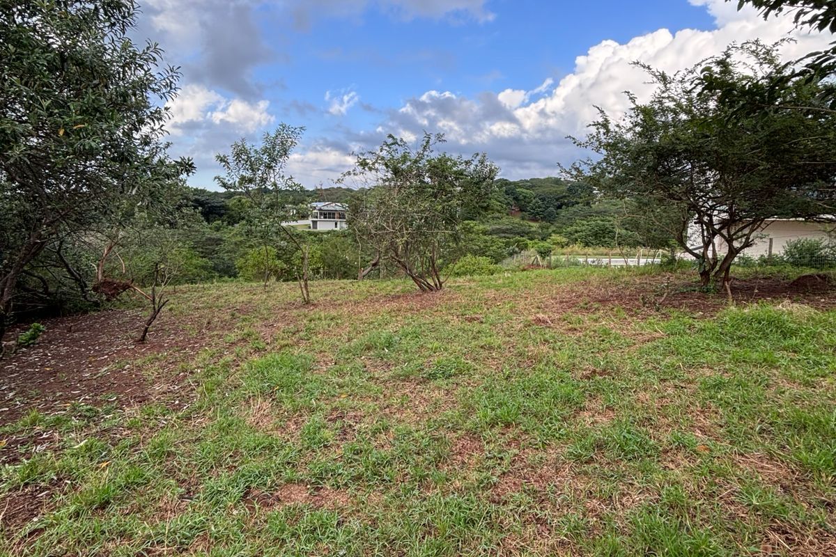 Buy the View, Secure the Lifestyle - Photo 3
