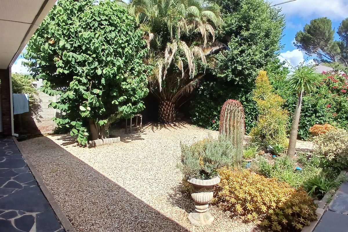 A low-maintenance rear garden featuring gravel landscaping, mature trees, and established shrubs, adjacent to a paved patio area.