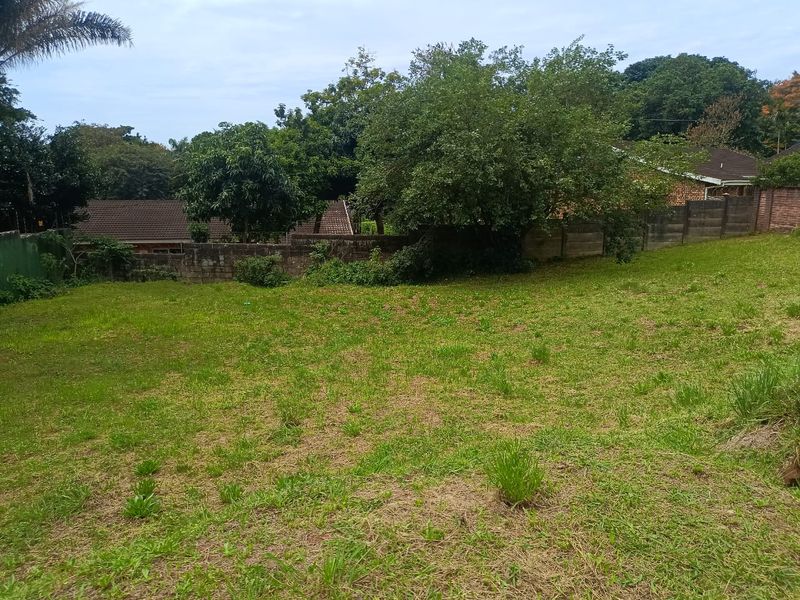 A spacious, grassed residential plot featuring mature trees and enclosed by a precast concrete boundary wall, offering a blank canvas for development.