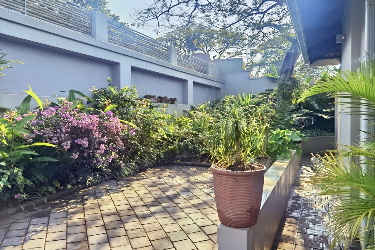 A well-maintained rear garden area featuring a paved patio, solid perimeter walling, and established landscaping.