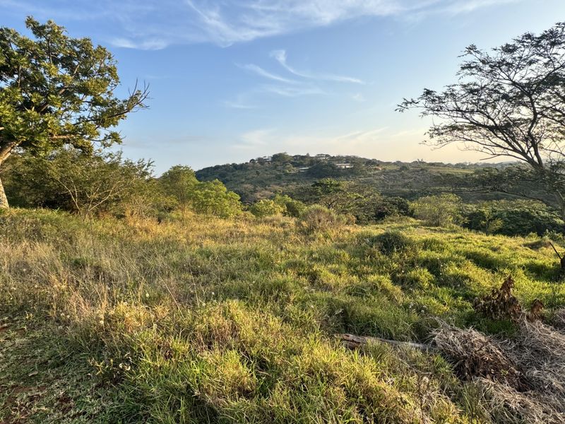 Prime Vacant Stand with Scenic Valley Views in Zini River Estate - Photo 1