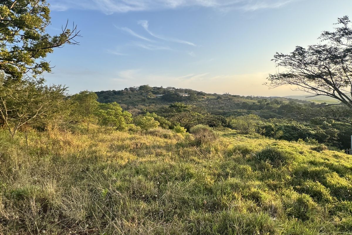 A scenic view of the sloped, grassy landscape and surrounding hills, showcasing the natural terrain of the vacant residential property.