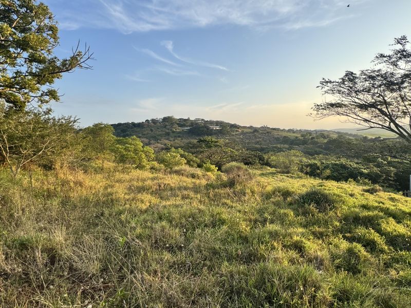 Prime Vacant Stand with Scenic Valley Views in Zini River Estate - Photo 3