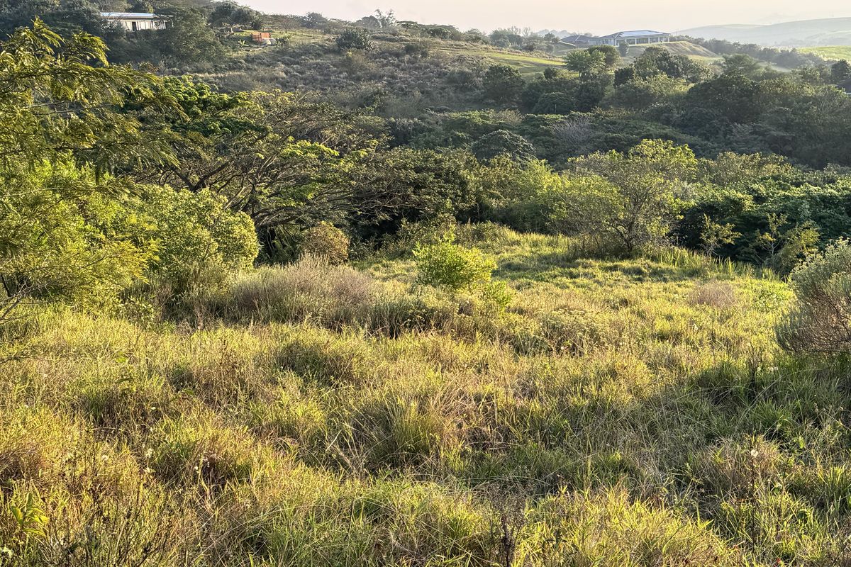 A scenic view of the sloped, undeveloped residential land featuring natural vegetation and surrounding landscape.