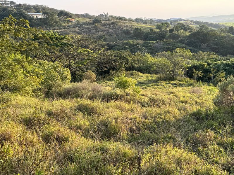 Prime Vacant Stand with Scenic Valley Views in Zini River Estate - Photo 4