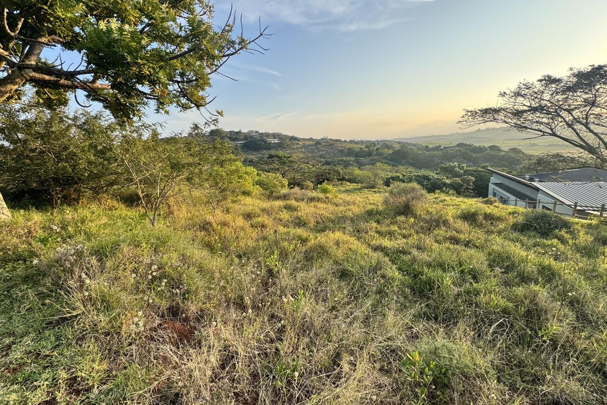 A scenic view overlooking a sloped, undeveloped residential plot featuring native vegetation and mature trees under a clear sky.