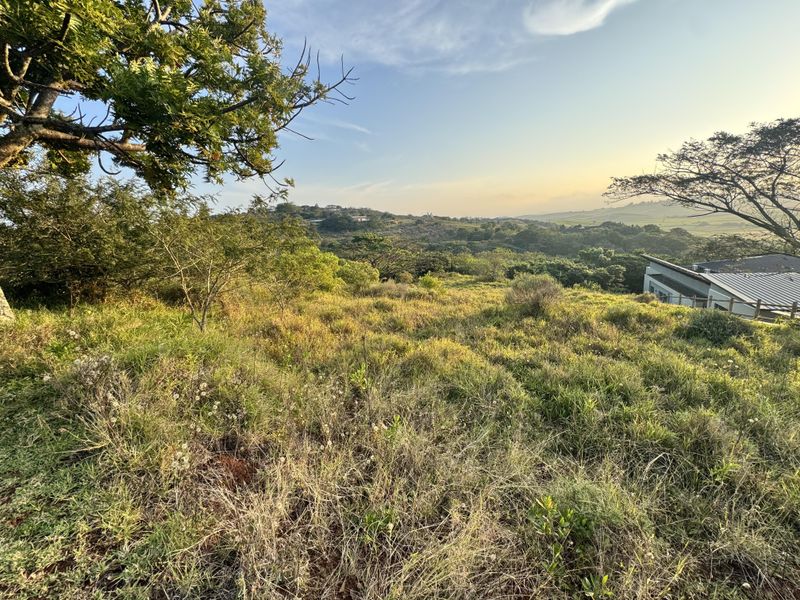 Prime Vacant Stand with Scenic Valley Views in Zini River Estate - Photo 2