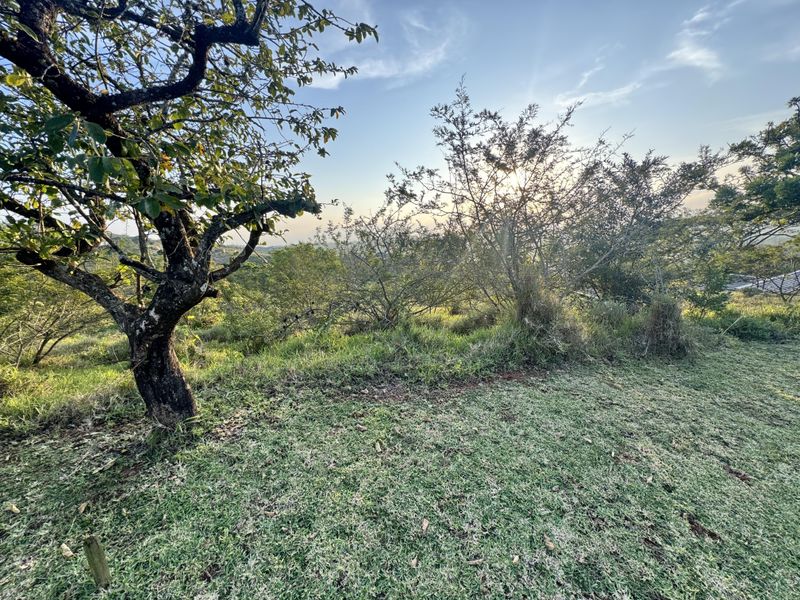 Prime Vacant Stand with Scenic Valley Views in Zini River Estate - Photo 7