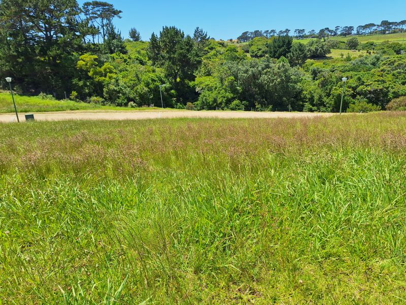 Scenic Ocean and Mountain View with Plot and Plan in Le Grand Estate - Photo 3