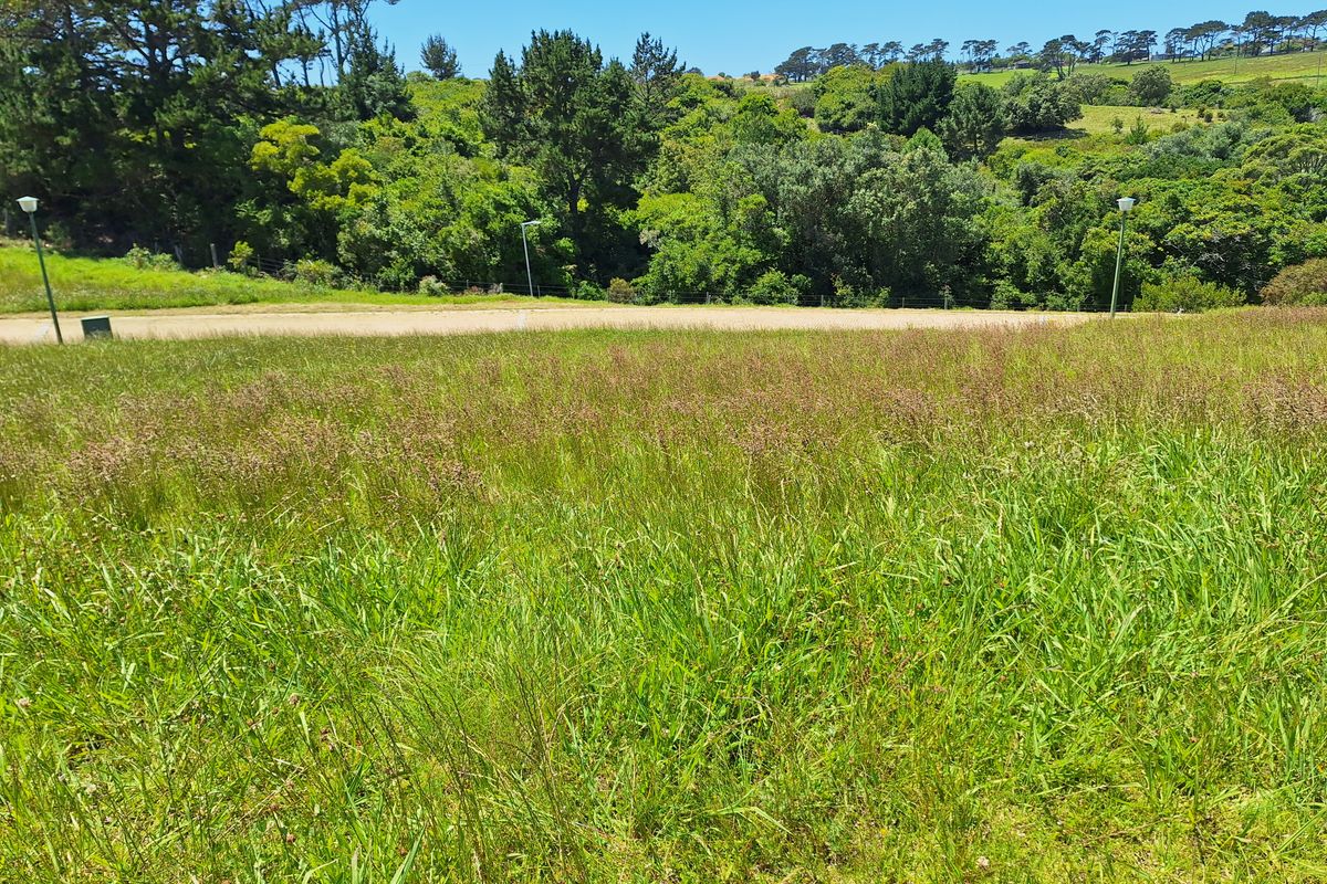 Scenic Ocean and Mountain View with Plot and Plan in Le Grand Estate - Photo 3