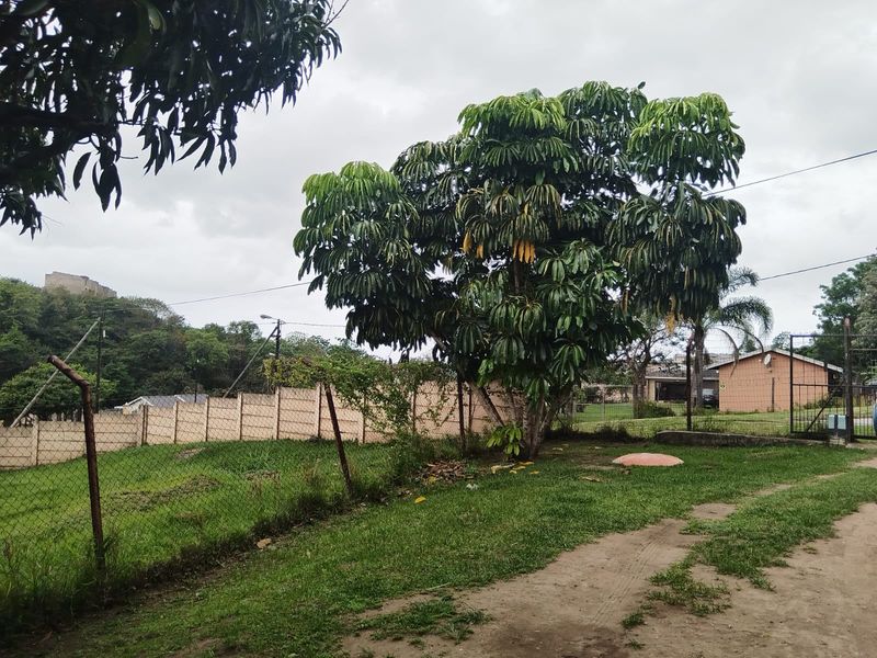 A spacious outdoor garden area featuring established trees, perimeter fencing, and a concrete boundary wall, providing a private and secure backyard space.