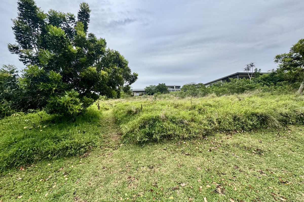 A view of a vacant residential plot featuring established trees and natural grass cover, offering a blank canvas for future development.