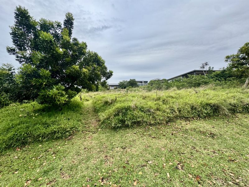 A view of a vacant residential plot featuring established trees and natural grass cover, offering a blank canvas for future development.