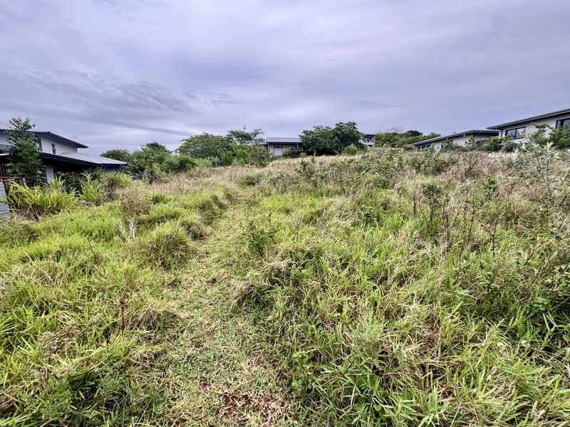 A view of a vacant residential plot featuring sloped terrain and overgrown grass, situated within a developed residential estate.