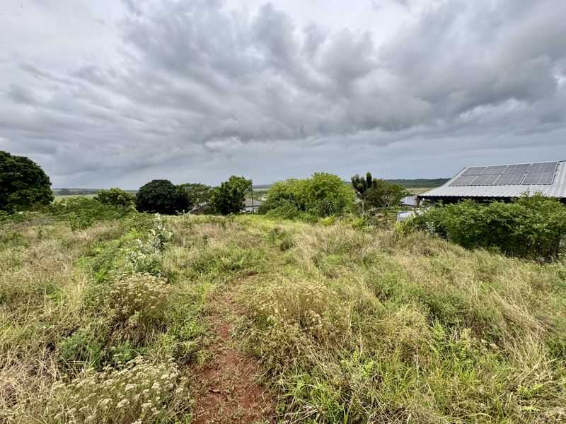 A view of a vacant residential plot featuring overgrown grass and a partial view of an adjacent building with solar panels.