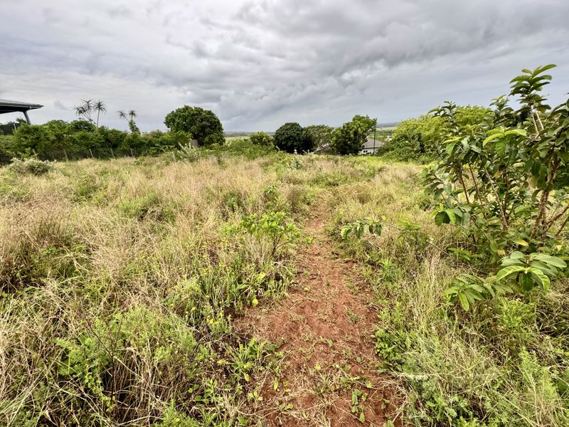 A view of a vacant residential plot featuring overgrown grass and natural vegetation, offering potential for future development.