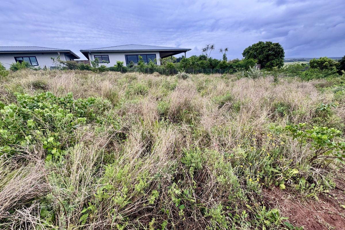 A view of a vacant residential plot featuring overgrown grass and natural vegetation, with neighboring residential properties visible in the background.