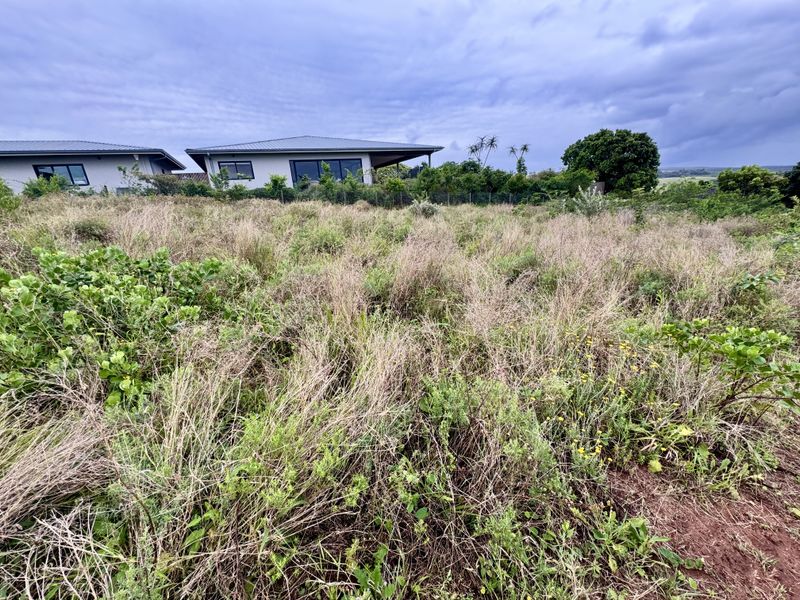 A view of a vacant residential plot featuring overgrown grass and natural vegetation, with neighboring residential properties visible in the background.
