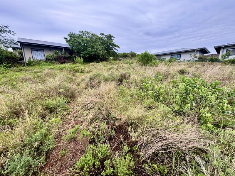 A view of a vacant residential plot featuring overgrown natural vegetation and surrounding residential structures.