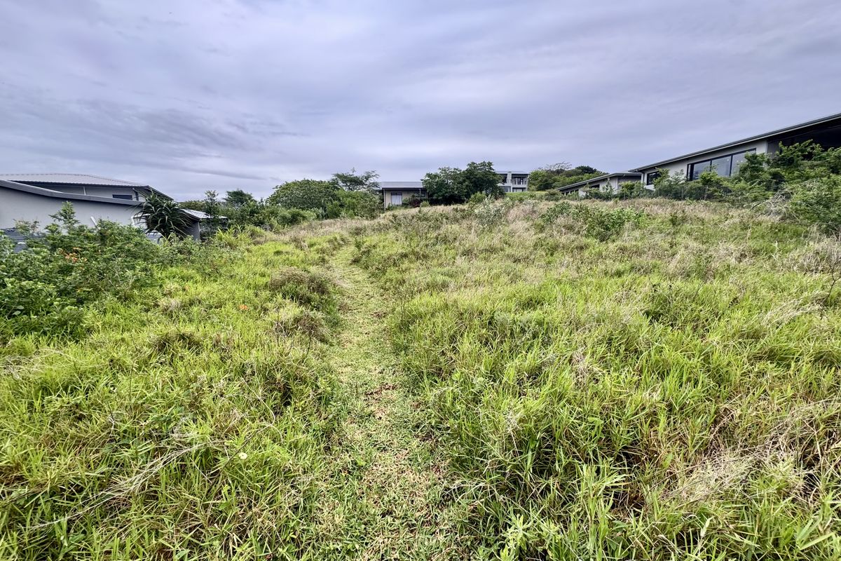 A view of an undeveloped, grass-covered residential plot with a gentle slope, surrounded by established neighboring properties.
