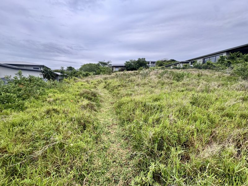 A view of an undeveloped, grass-covered residential plot with a gentle slope, surrounded by established neighboring properties.