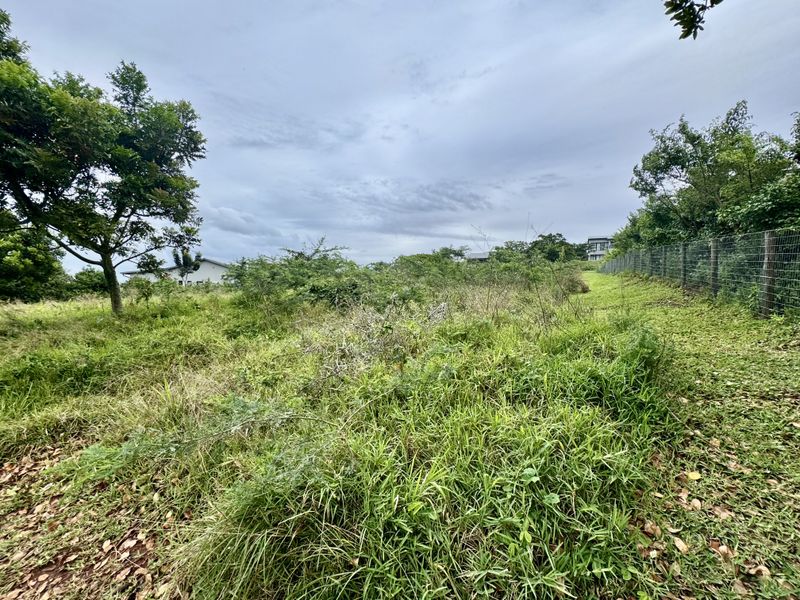 A view of a vacant residential plot featuring established trees, natural vegetation, and perimeter wire mesh fencing.