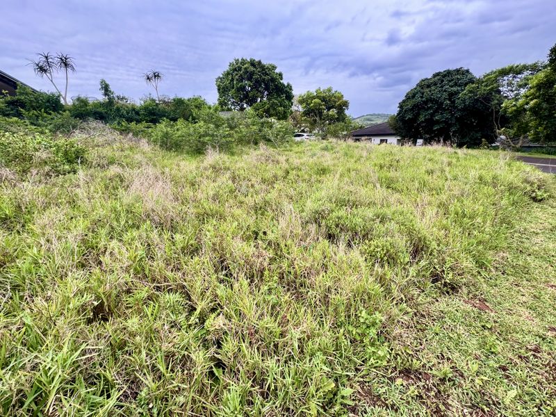 A view of an undeveloped residential plot featuring natural grassland and mature trees, offering a blank canvas for future construction.