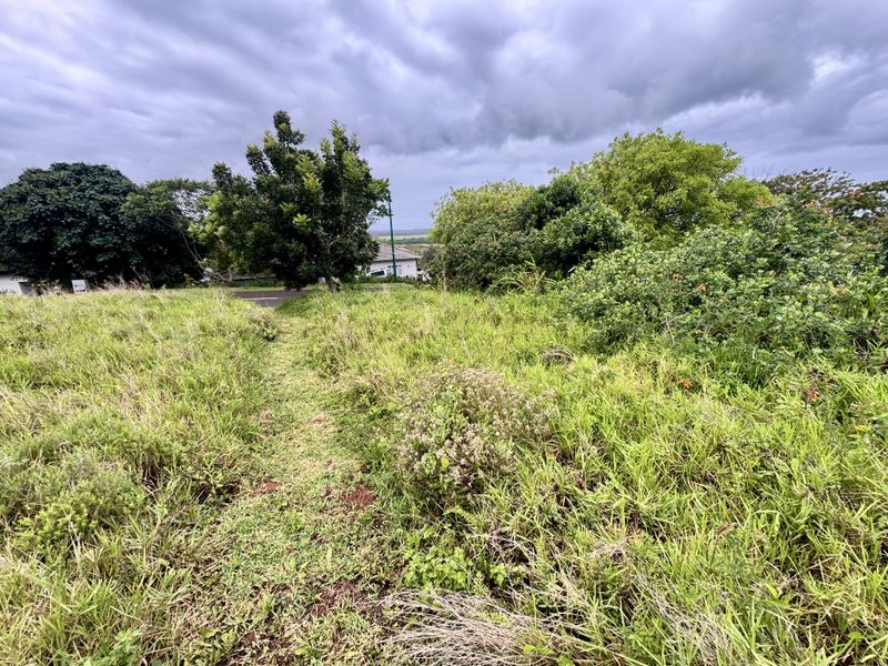 A view of a vacant residential plot featuring established trees and natural vegetation under an overcast sky.