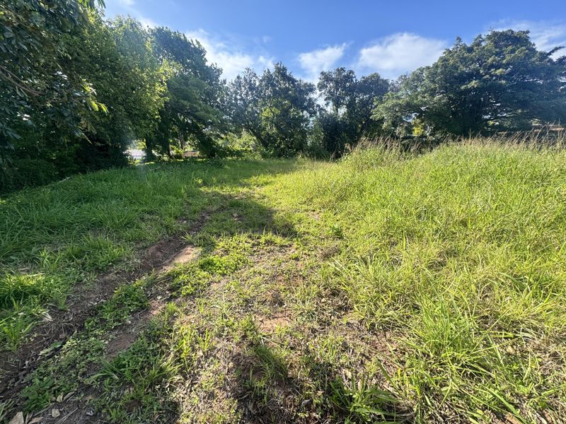A view of a vacant residential plot featuring established trees and natural grass coverage, suitable for future development.