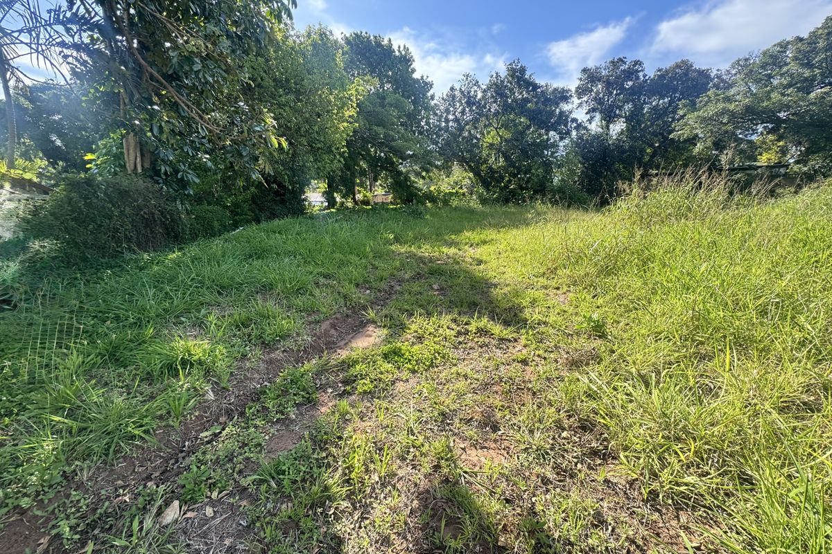 A view of a vacant residential plot featuring natural grassland and mature trees, offering a blank canvas for future development.
