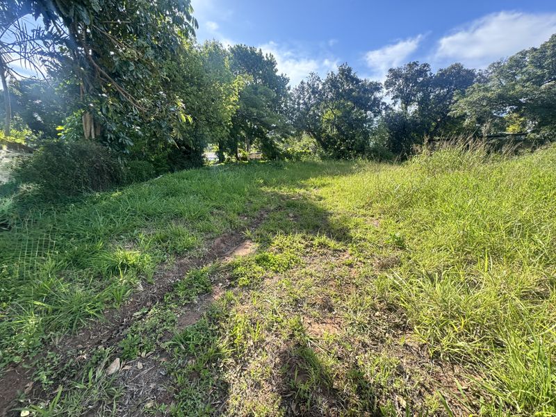 A view of a vacant residential plot featuring natural grassland and mature trees, offering a blank canvas for future development.