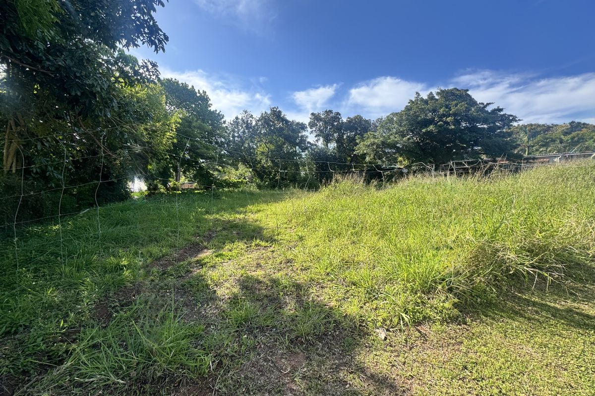 A view of a residential vacant land plot featuring overgrown grass, mature trees, and existing wire perimeter fencing.