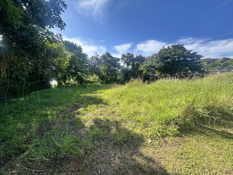 A view of a residential vacant land plot featuring overgrown grass, mature trees, and existing wire perimeter fencing.