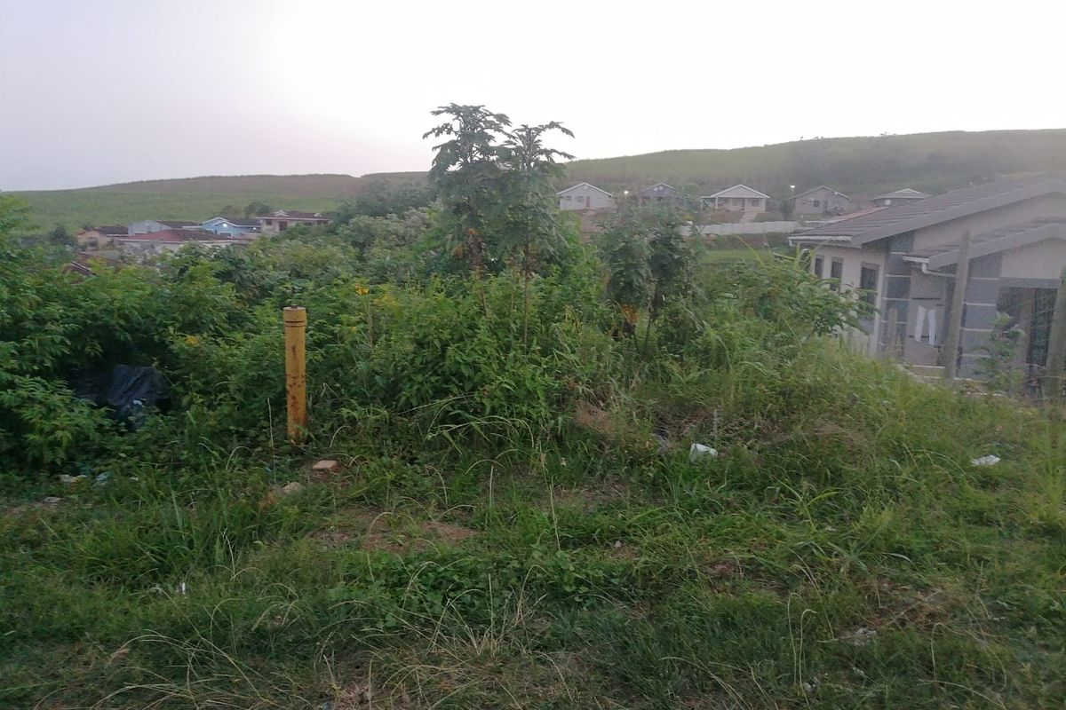 A view of an undeveloped residential plot featuring overgrown vegetation and natural terrain, situated in a suburban neighborhood setting.