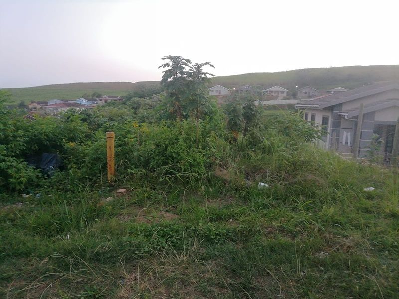 A view of an undeveloped residential plot featuring overgrown vegetation and natural terrain, situated in a suburban neighborhood setting.